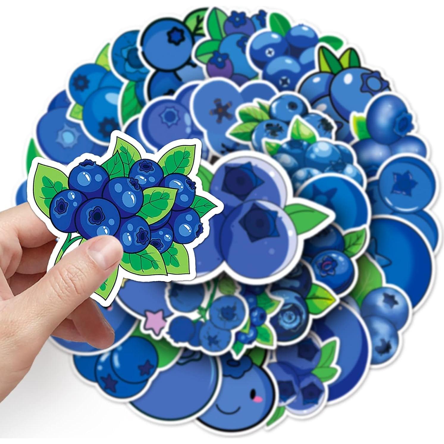 50 Calcomanías de Arándano Vinilo Impermeable LYLSDSB