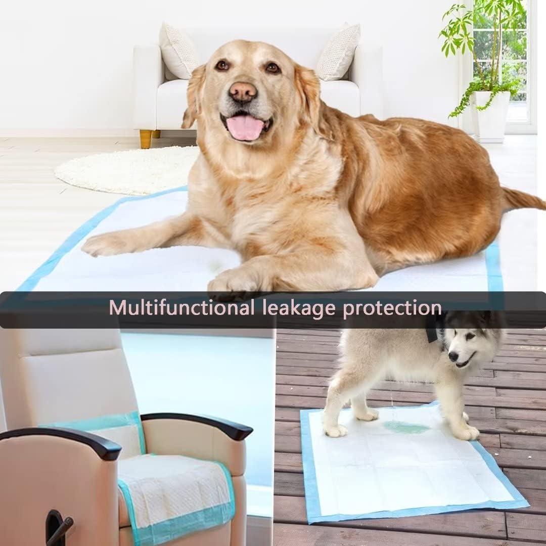 Alfombrillas Absorbentes para Perros Extra Grandes 40 Unidades 91x91cm