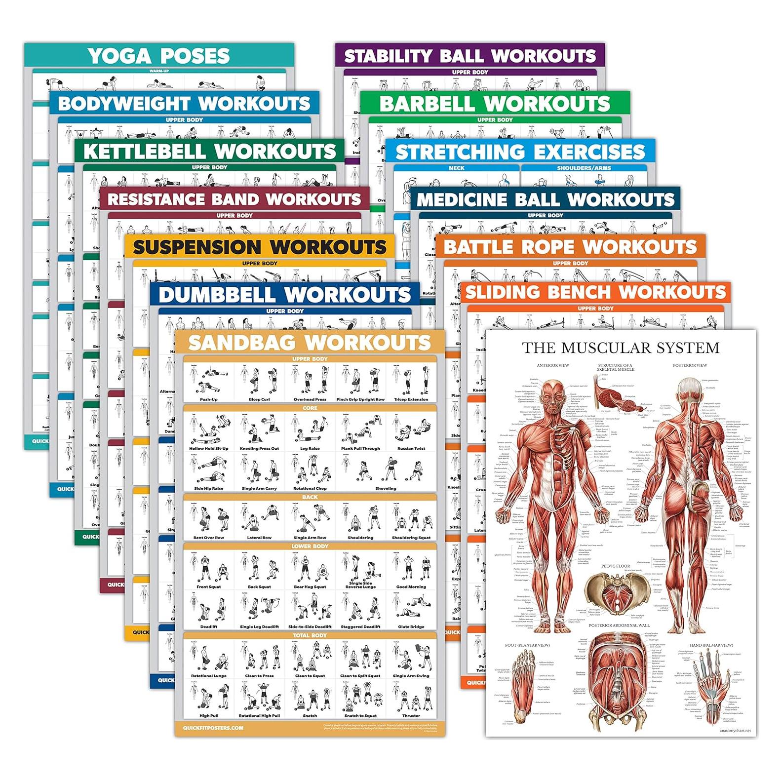 Conjunto de Pósters de Ejercicio Palace Learning 14 Pack