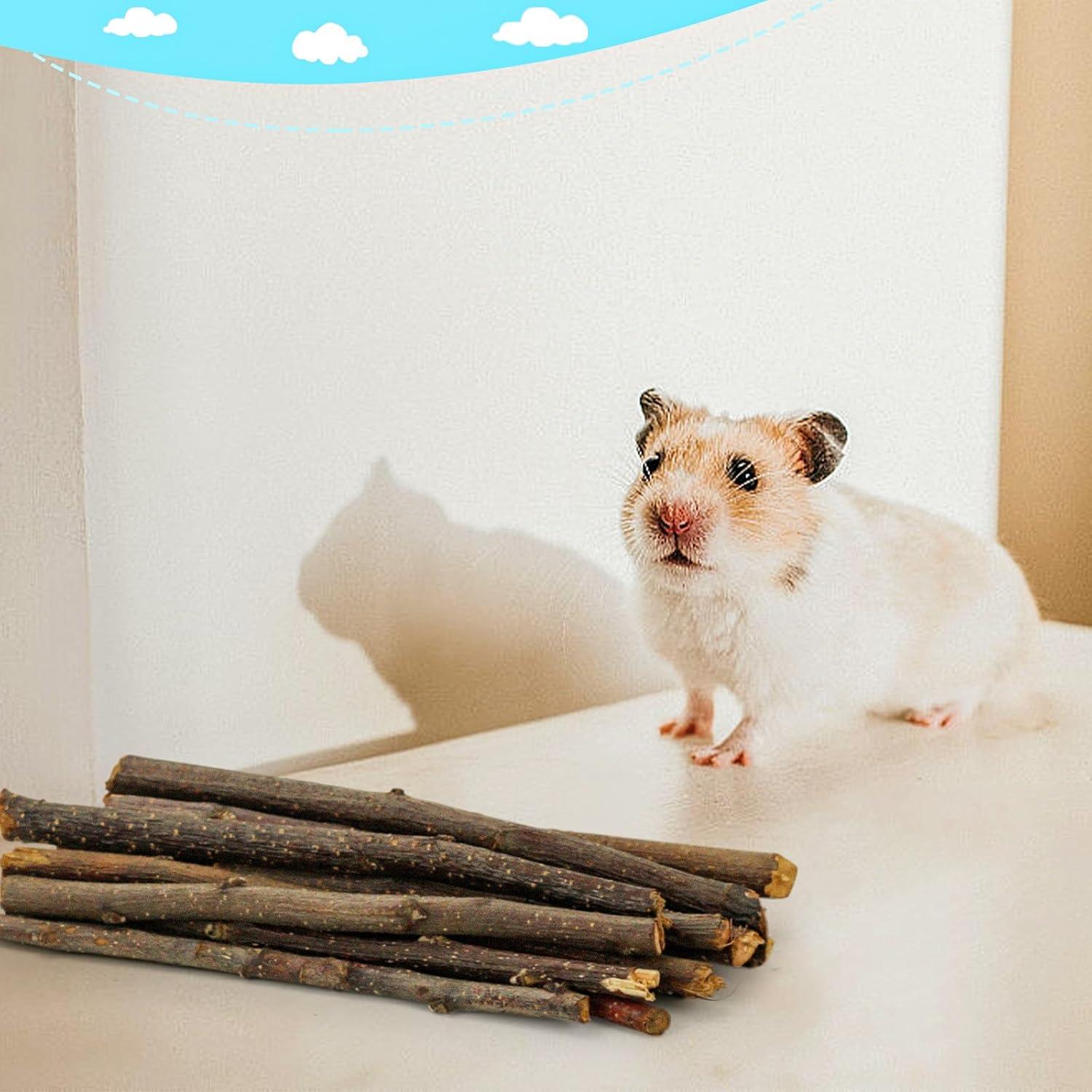 Palitos Masticables de Manzana 600g para Conejos y Cobayas