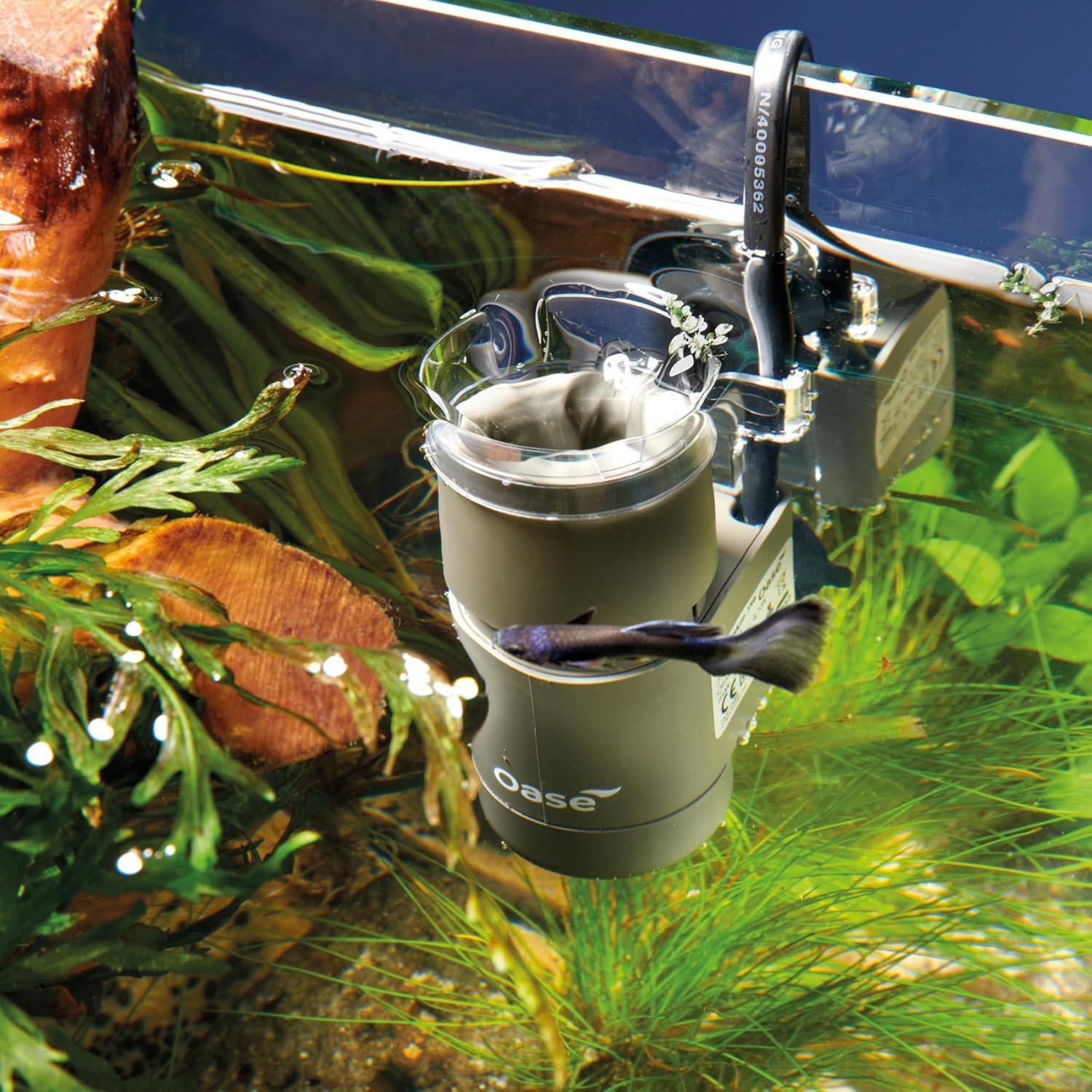 Skimmer de Superficie OASE CrystalSkim 350 para Acuarios 350L