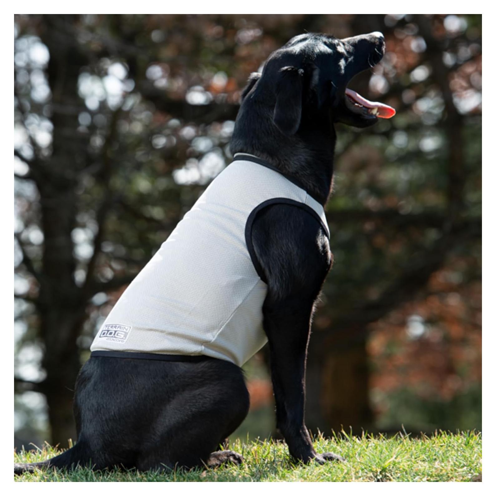 Chaleco Refrigerante para Perros Weaver Terrain XL Marrón