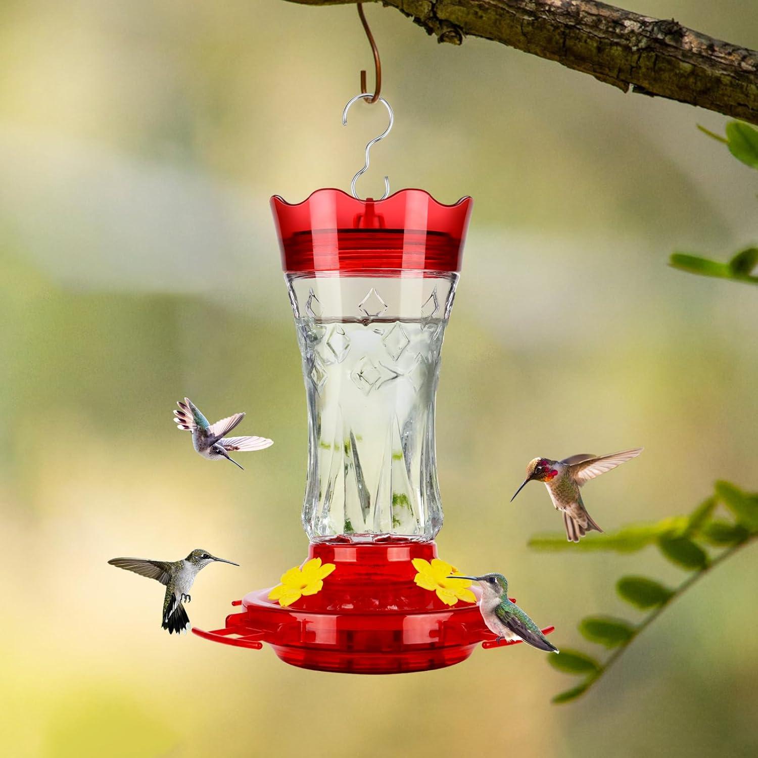Alimentador de Colibríes BOLITE de Vidrio Rojo 425g con Moat Ant