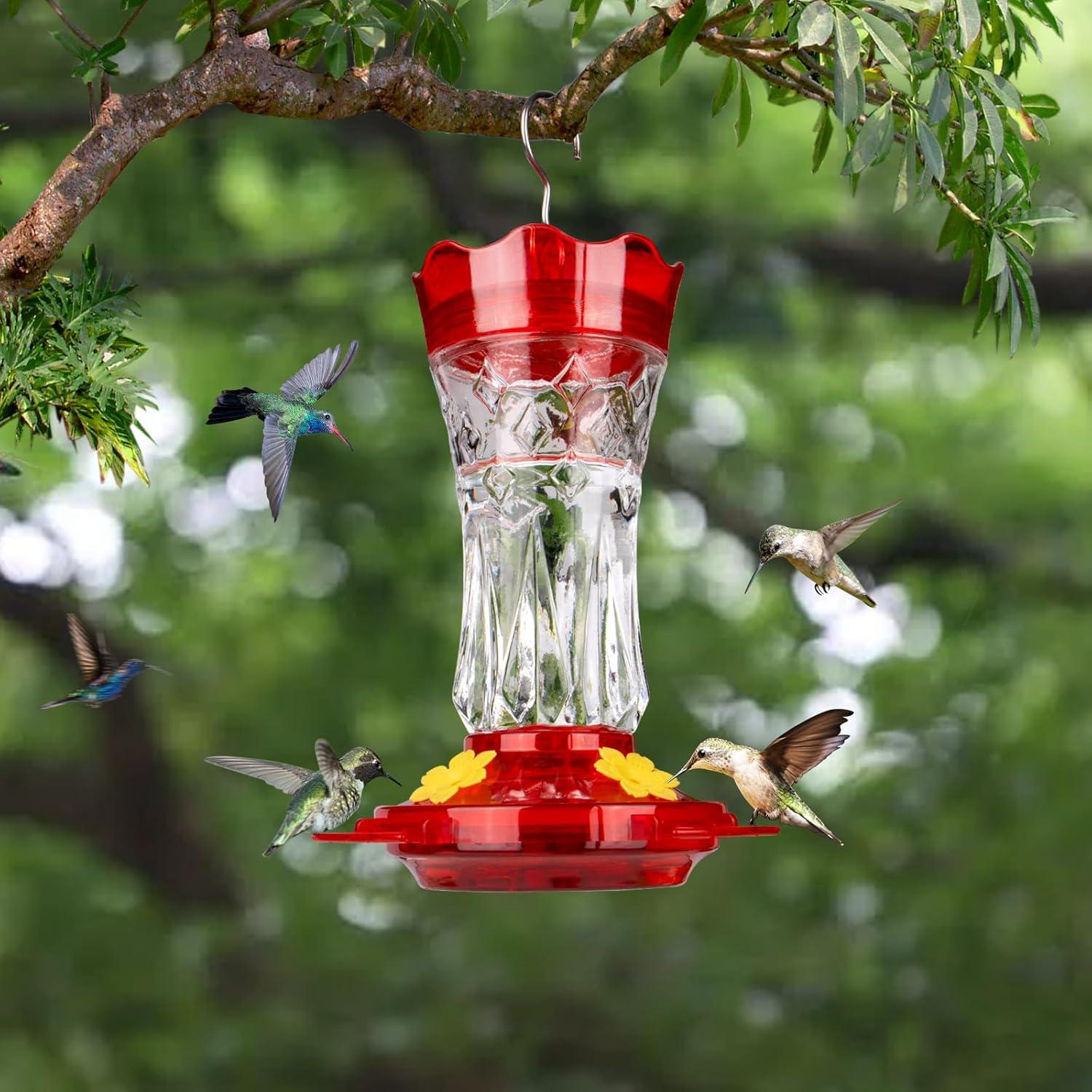 Alimentador de Colibríes BOLITE de Vidrio Rojo 425g con Moat Ant