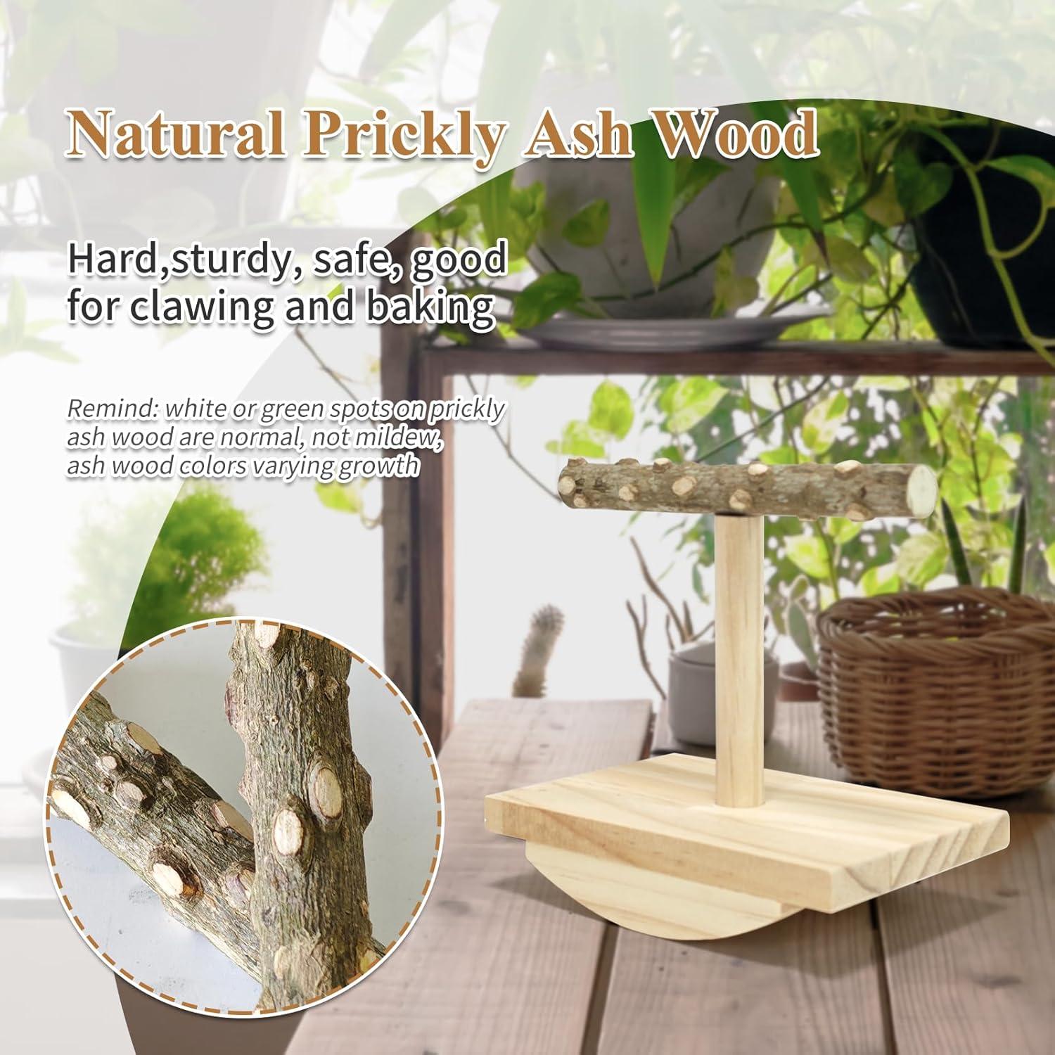 Soporte de Percha para Aves Eeaivnm Pequeño Madera Natural