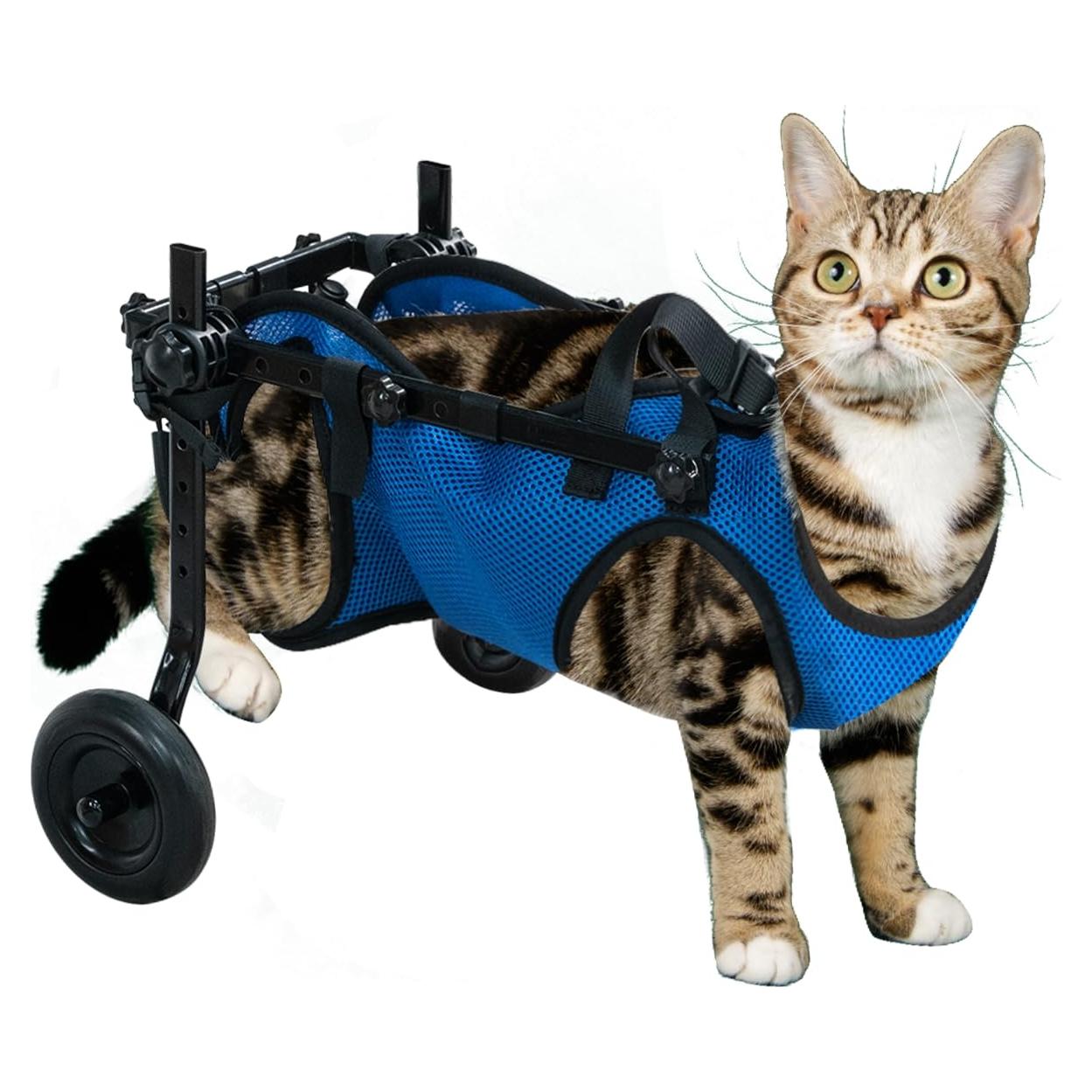 Silla de ruedas para perros ZUAGI Extra Pequeño ajustable