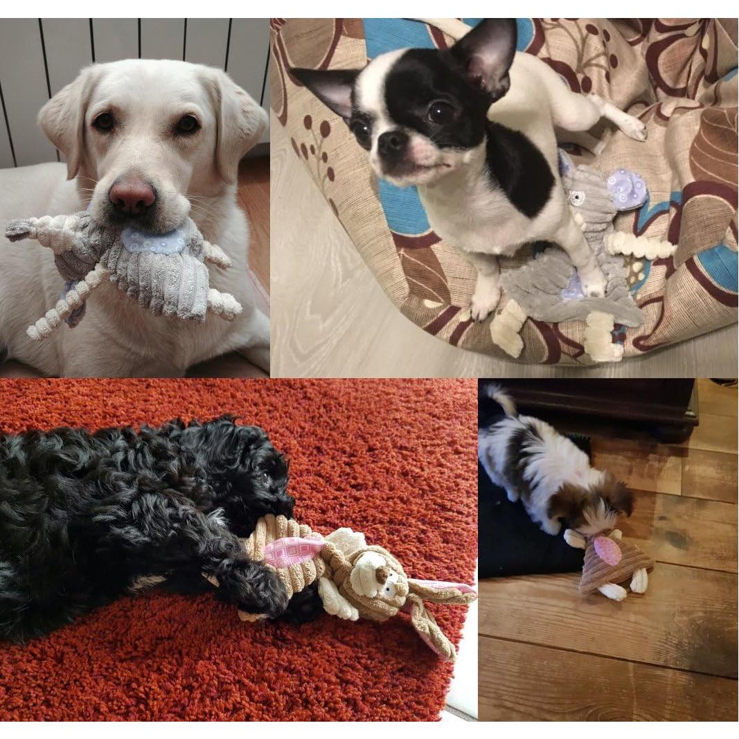 Juguetes para Perros Comtim Sin Relleno con Sonajero - Conejo y Elefante