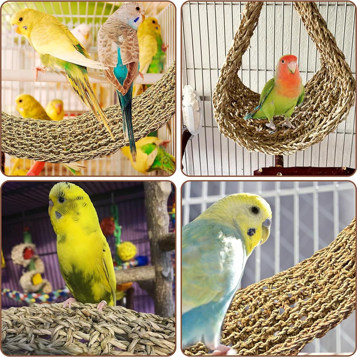 Alfombra de Hierba Marina Kathson 2 Pcs 99 x 18 cm para Aves