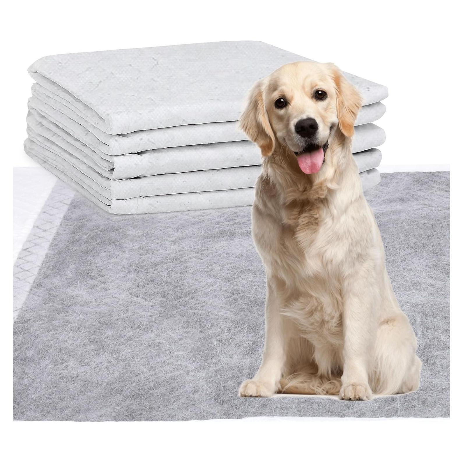 Alfombrillas Absorbentes para Perros SooGree 45x60 cm - Paquete de 5