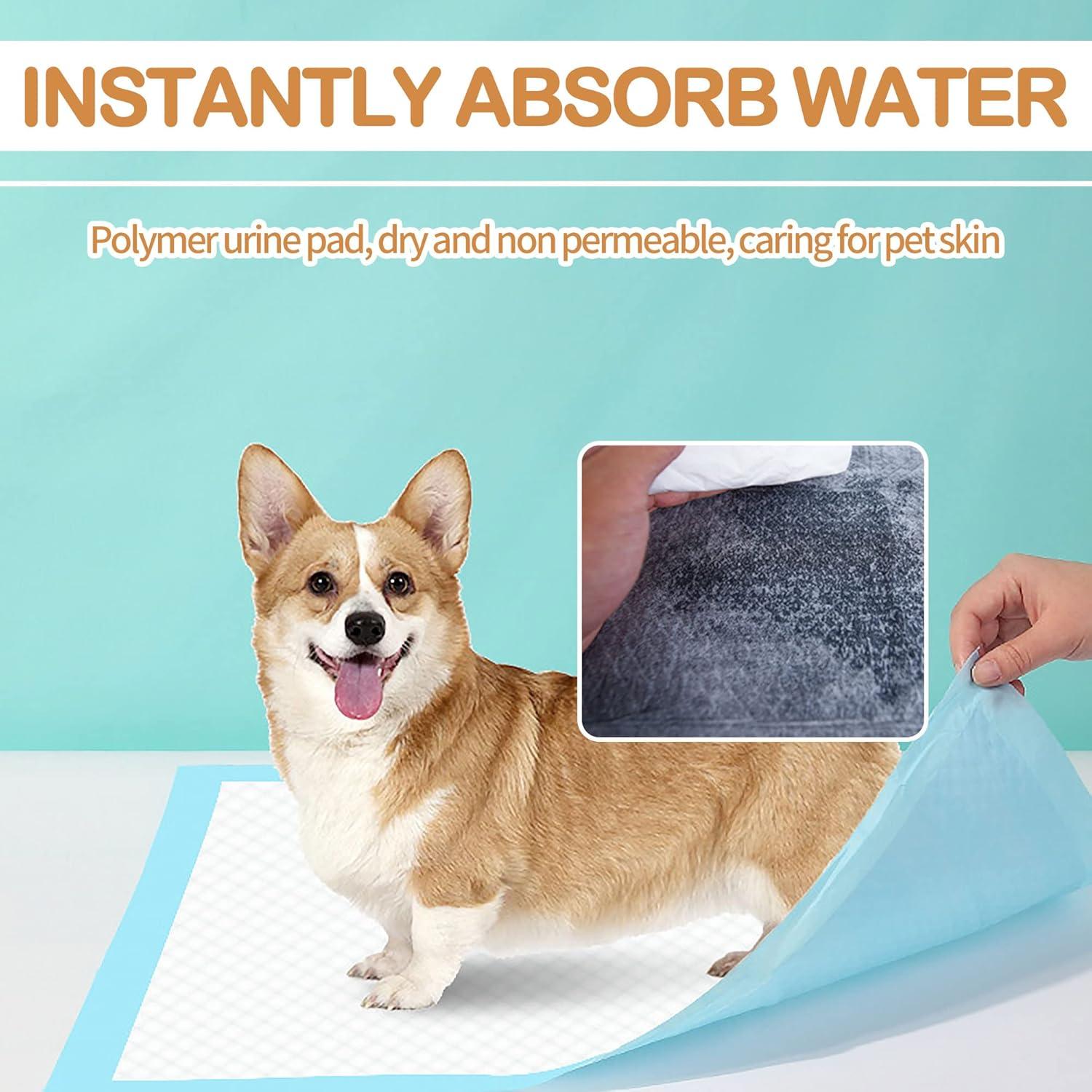 Alfombrillas Absorbentes para Perros SooGree 45x60 cm - Paquete de 5