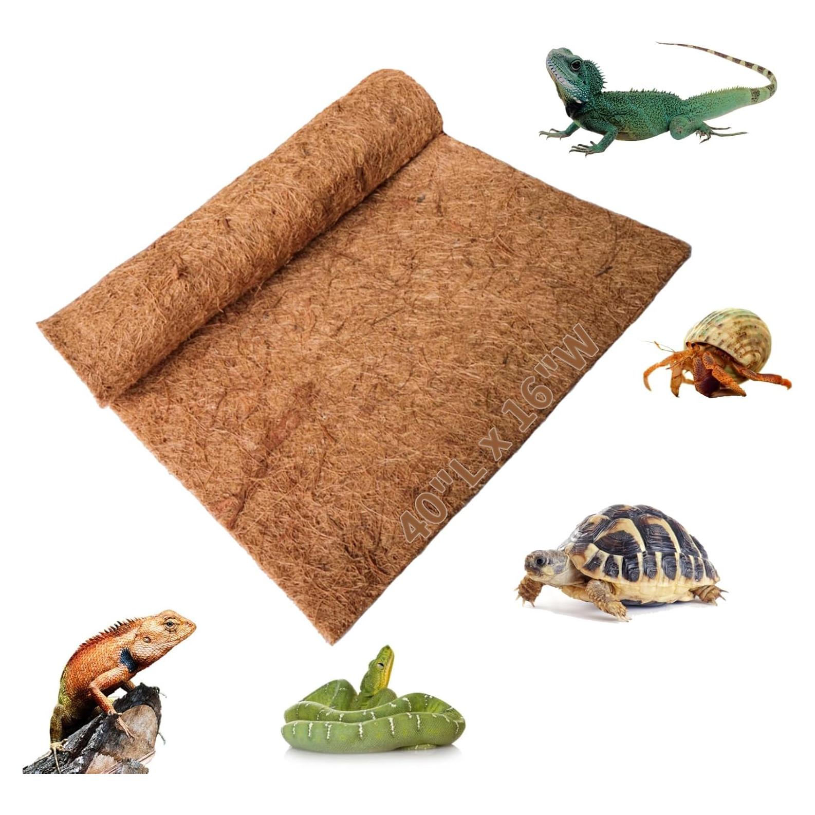 Alfombra de Reptil Hamiledyi 101.6 x 40.6 cm Fibra de Coco