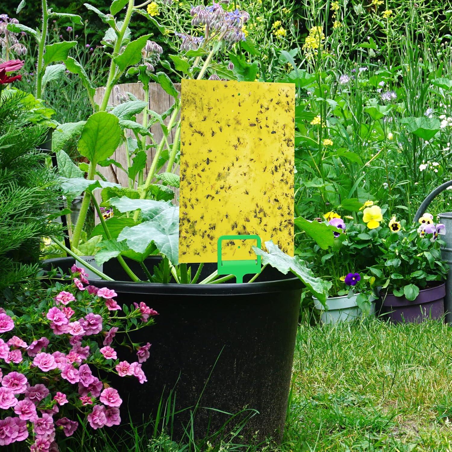 Trampa para Moscas de Fruta BLACK+DECKER 20 Piezas Ecológicas