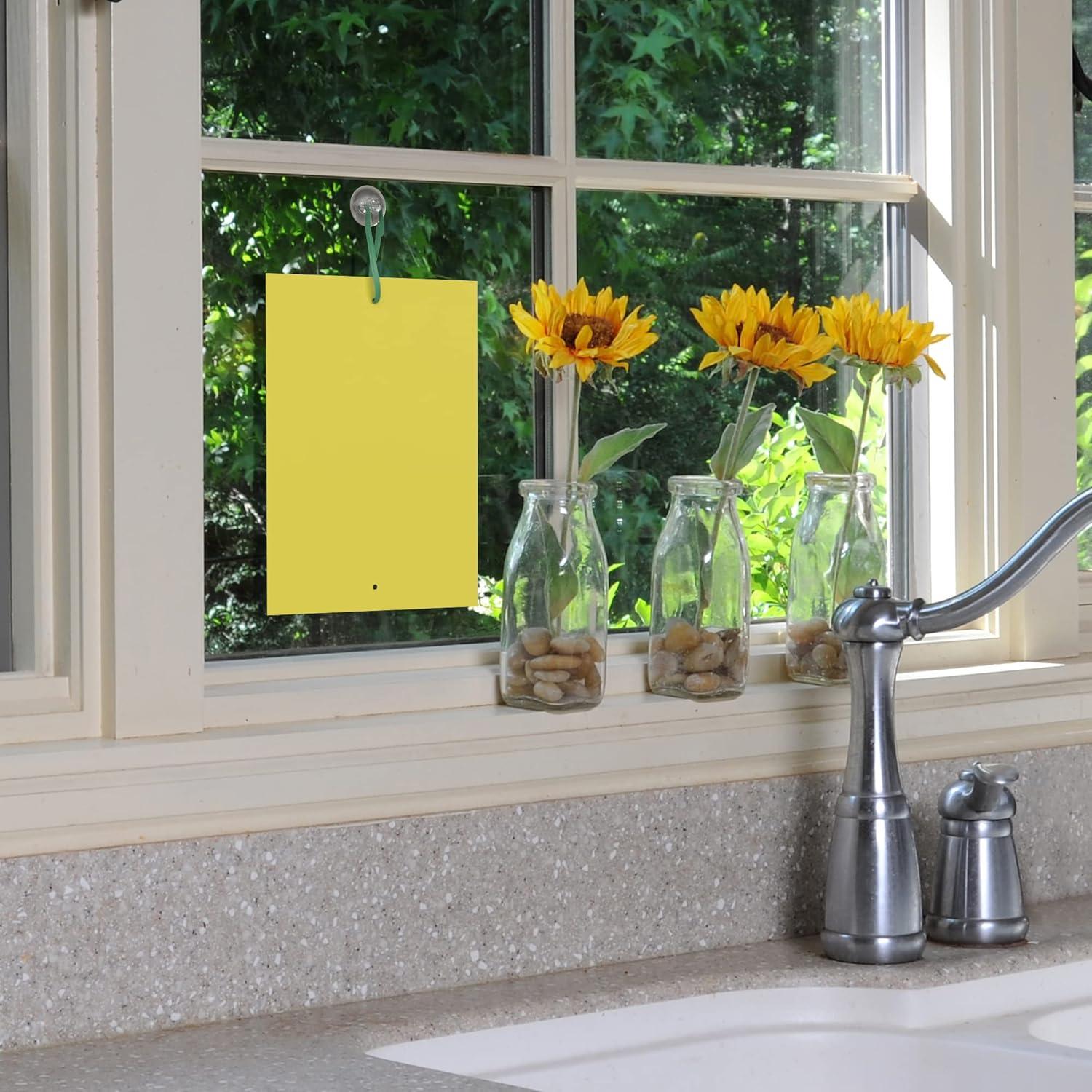 Trampa para Moscas de Fruta BLACK+DECKER 20 Piezas Ecológicas