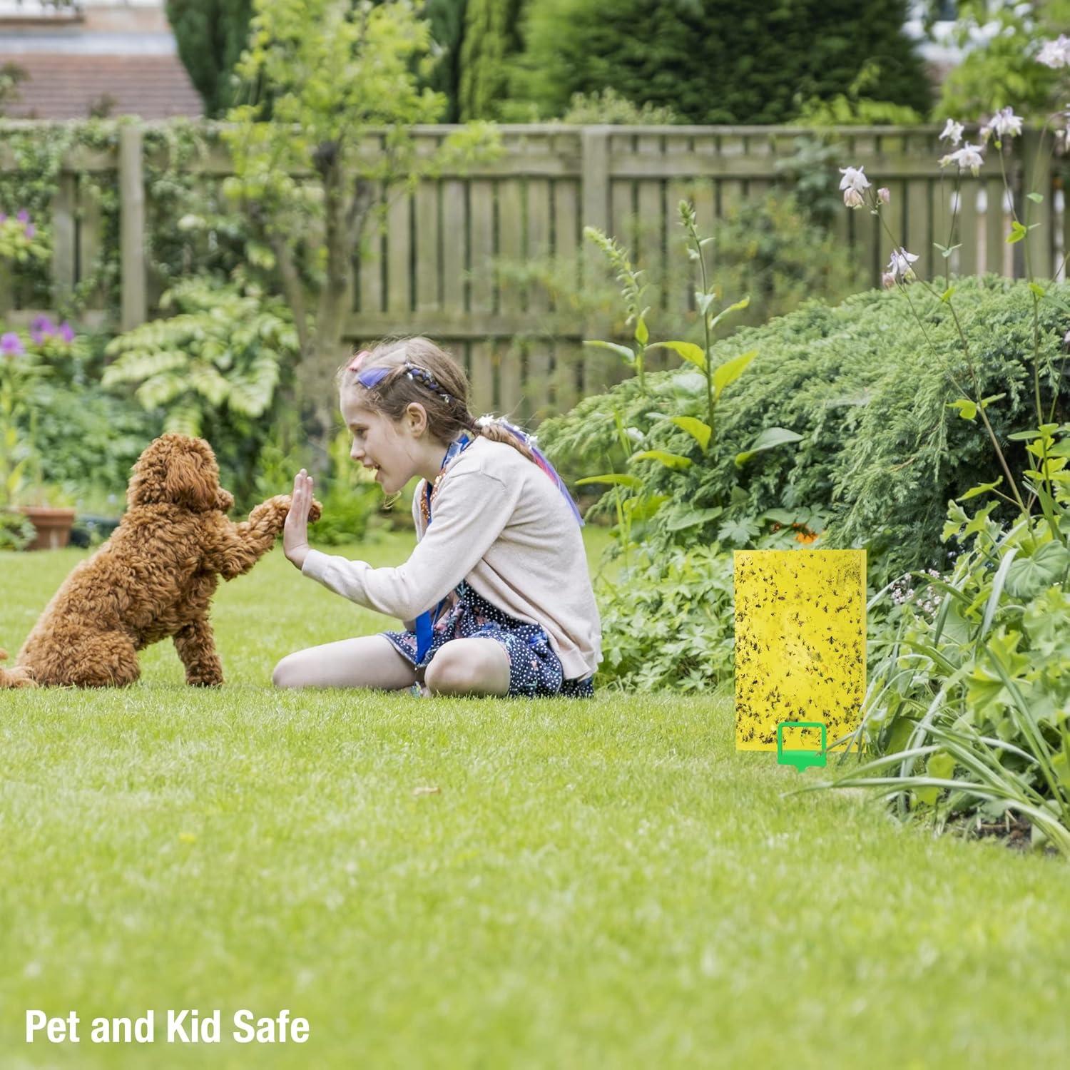 Trampa para Moscas de Fruta BLACK+DECKER 20 Piezas Ecológicas