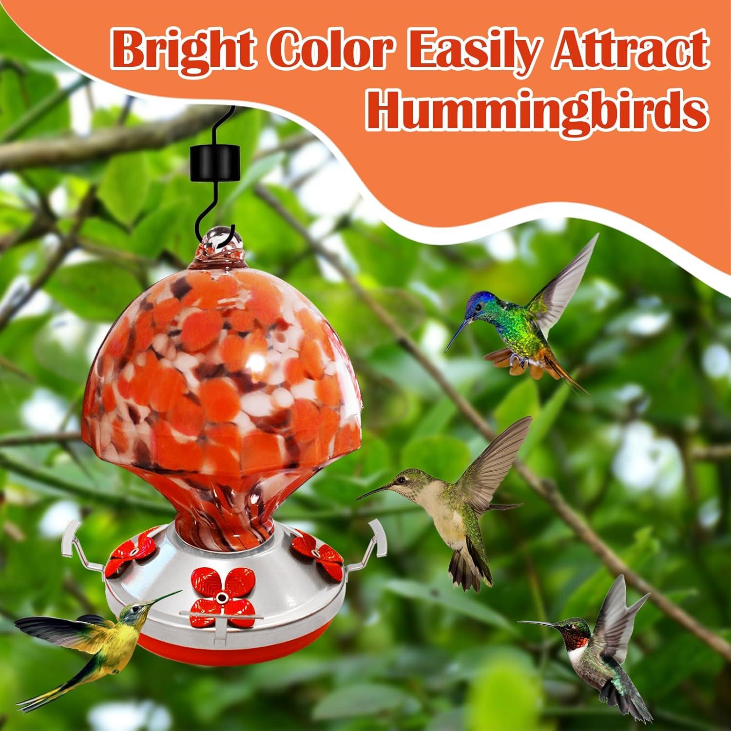 Alimentador de Colibrí de Vidrio Ruiyi Tim 0.75L con Moat