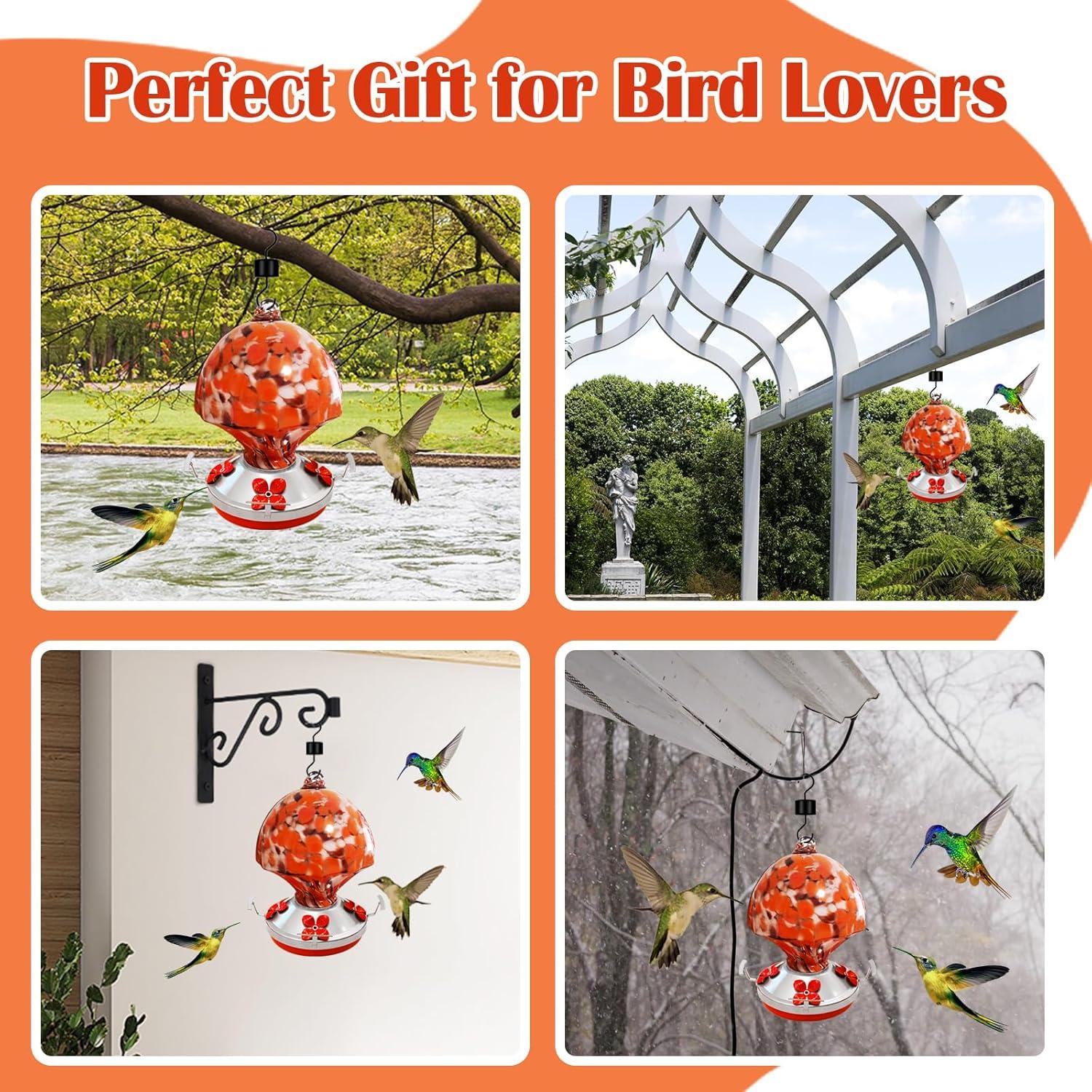 Alimentador de Colibrí de Vidrio Ruiyi Tim 0.75L con Moat