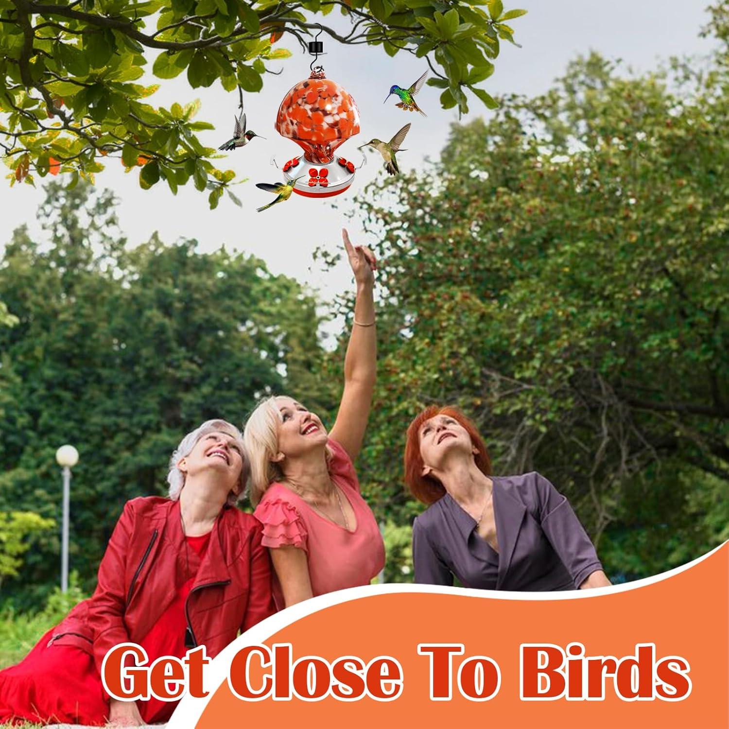 Alimentador de Colibrí de Vidrio Ruiyi Tim 0.75L con Moat