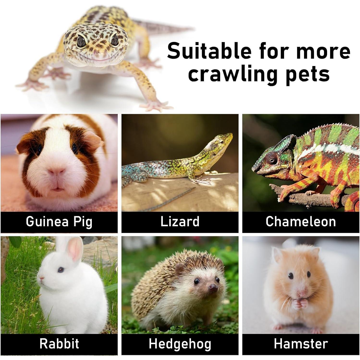 Transportador para Reptiles CUXFLS con Correa de Cuero Ajustable - Negro