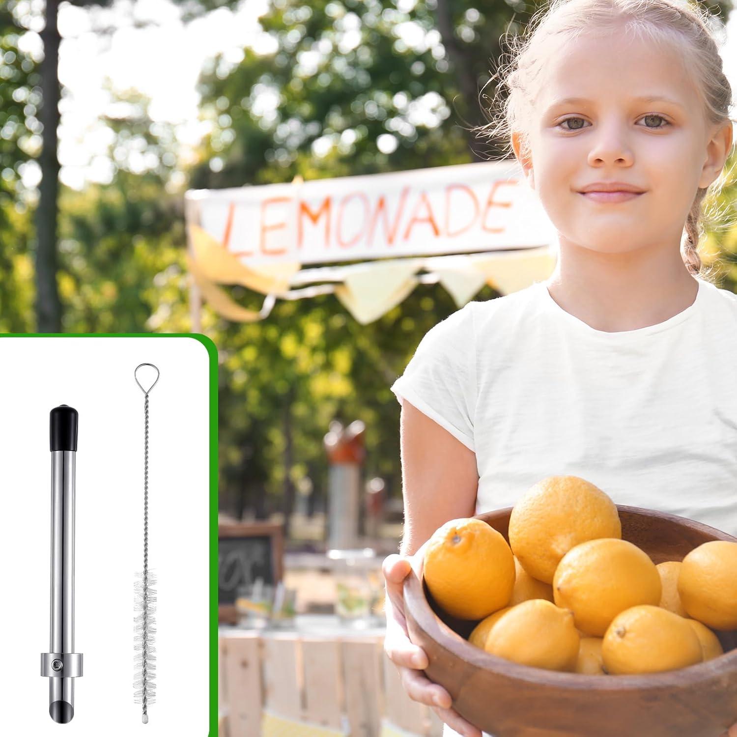 Perforador de Popotes Lasnten 16 cm Acero Inoxidable Negro