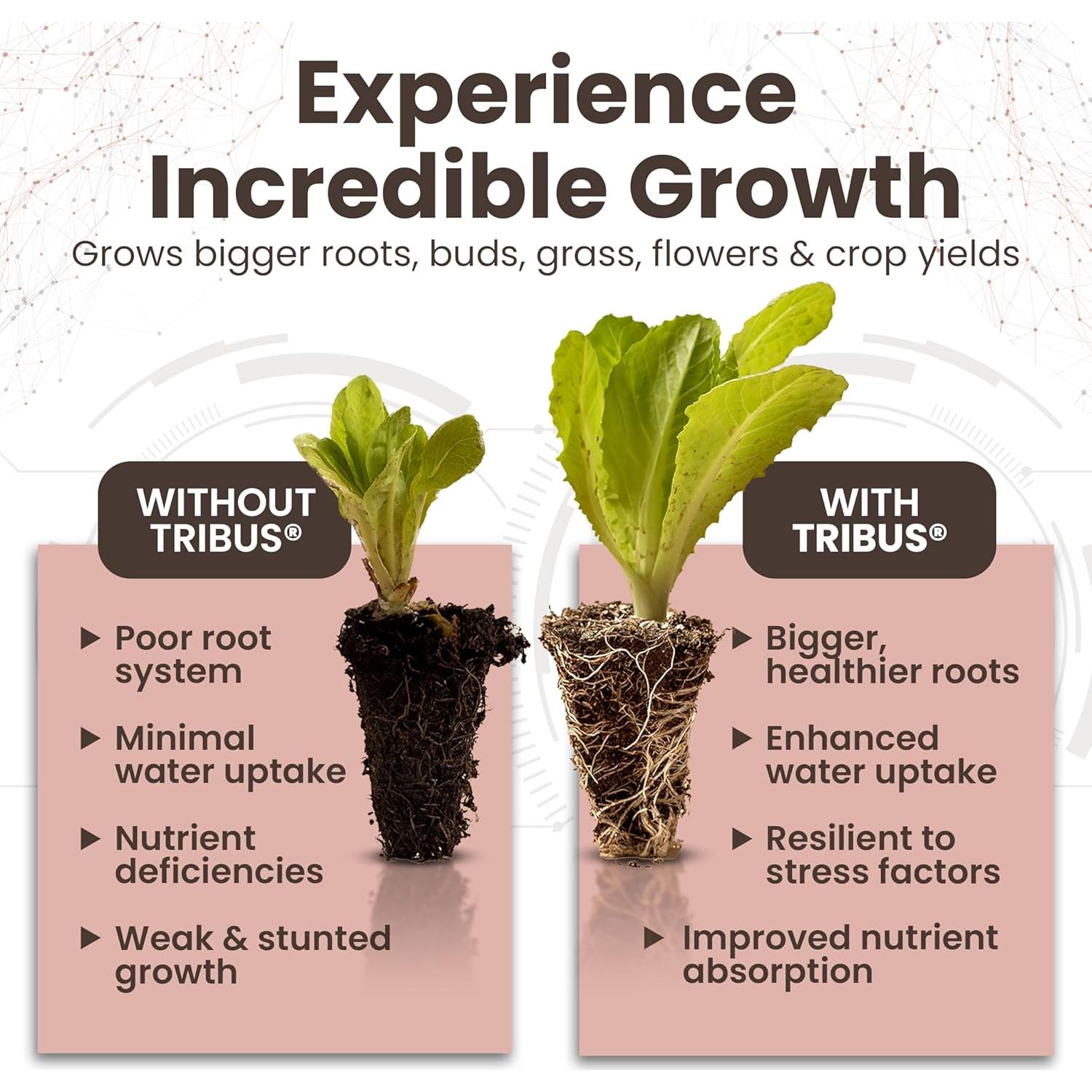 Inoculante Microbiano Orgánico Impello Tribus 1 L - Acelerador de Raíces