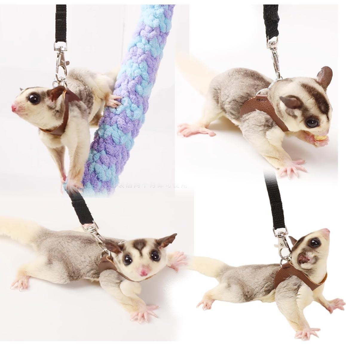 Conjunto Arnés y Correa Ajustable MANON ROSA para Animales Pequeños