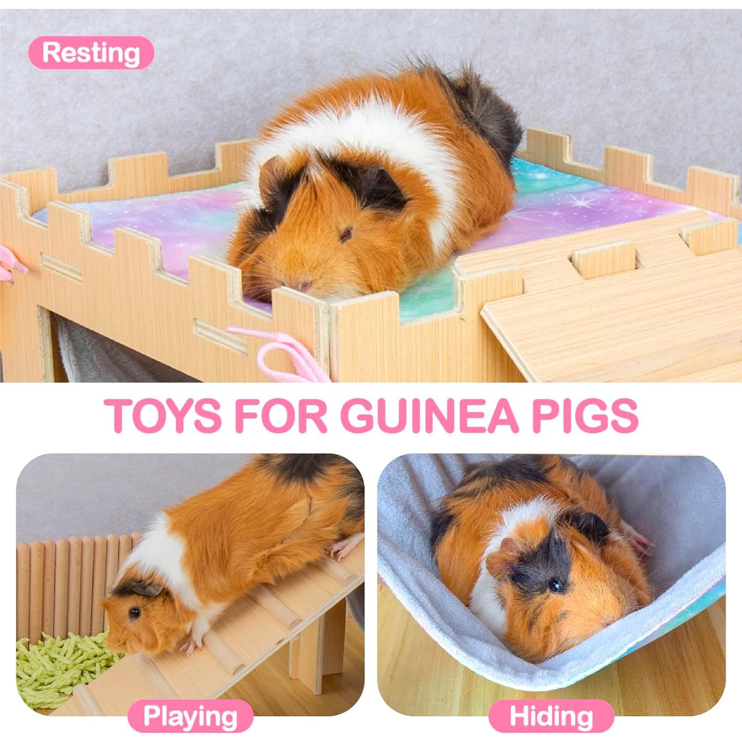 Hamaca para Cobayas BESNEW con Plataforma y Rampas Doble