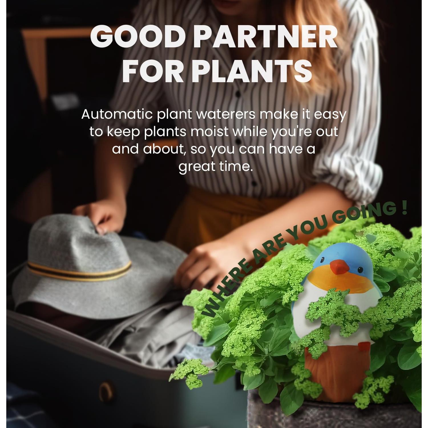 Esferas de Riego para Plantas YFDB - 4 Piezas Diseño Pájaro