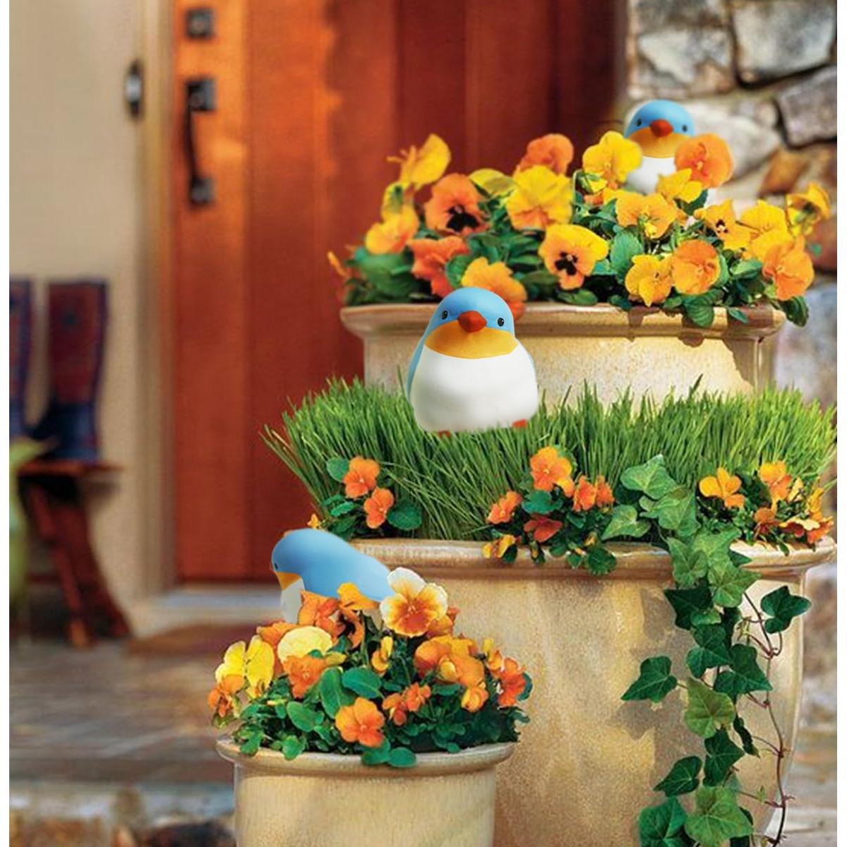 Esferas de Riego para Plantas YFDB - 4 Piezas Diseño Pájaro