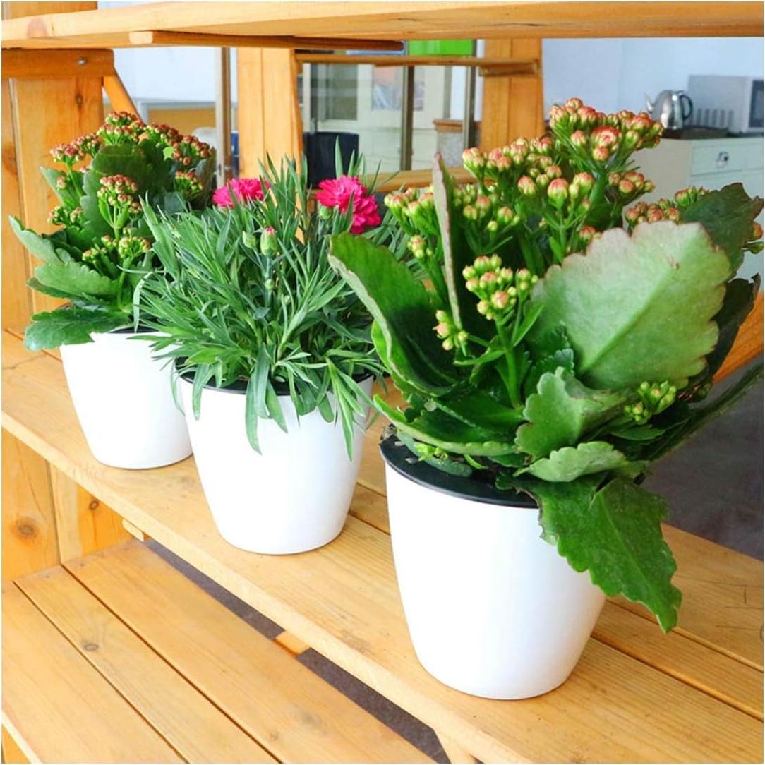 Maceta Autorriego OYSIR Blanca 3.5" para Plantas - 3 Piezas