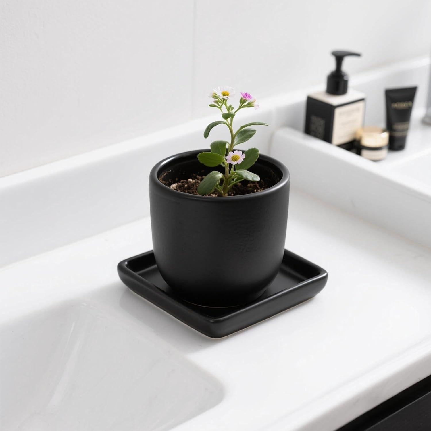 Plato Cuadrado Cerámica Negra 10.16 cm Saupotcer 2 Paquete