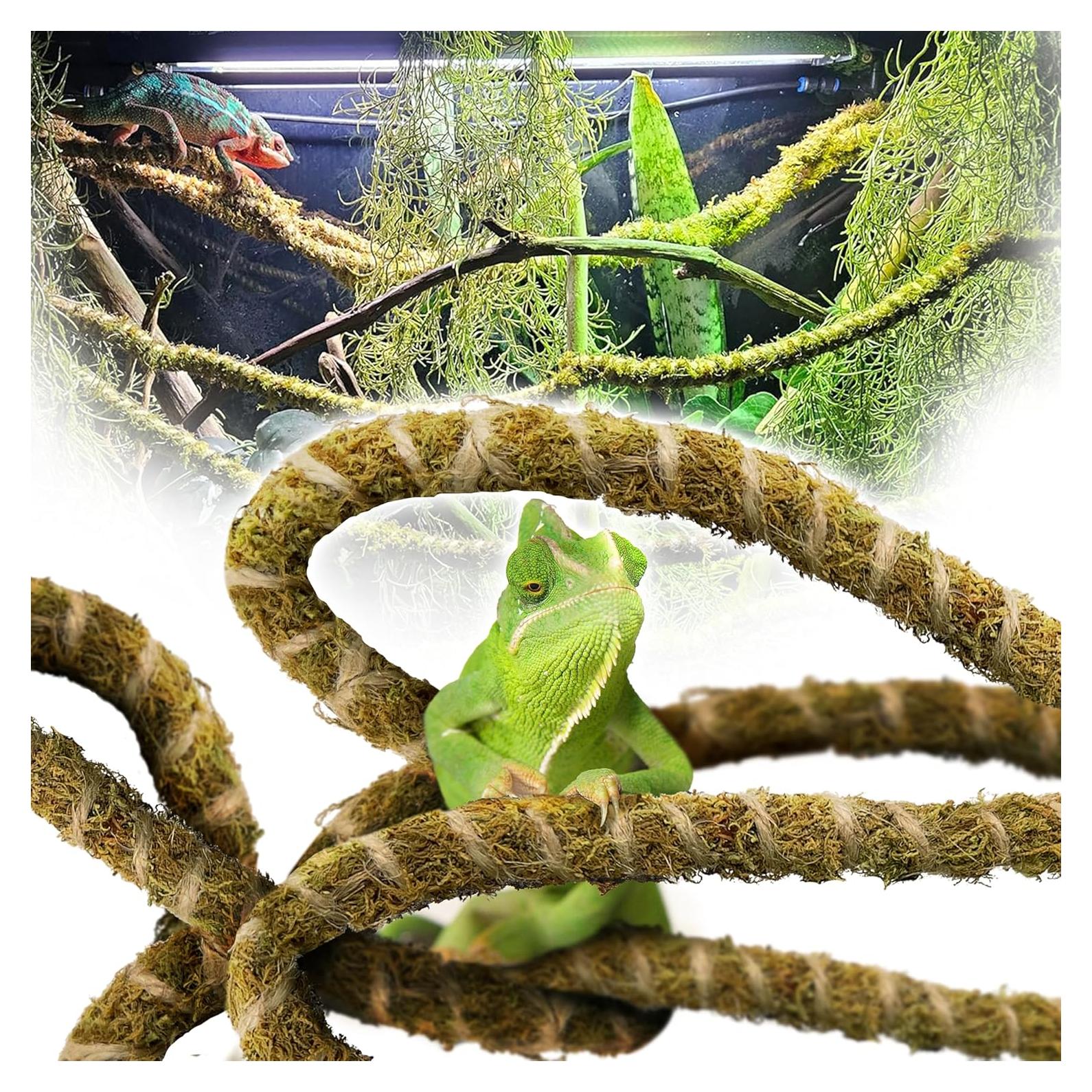 Duspro Vínculo de Musgo Natural 198 cm para Reptiles