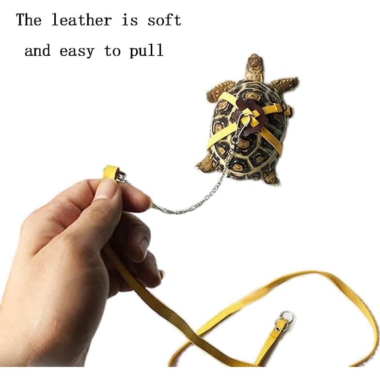 Correa Ajustable para Tortuga Cyhaen - Negro, Tamaño S