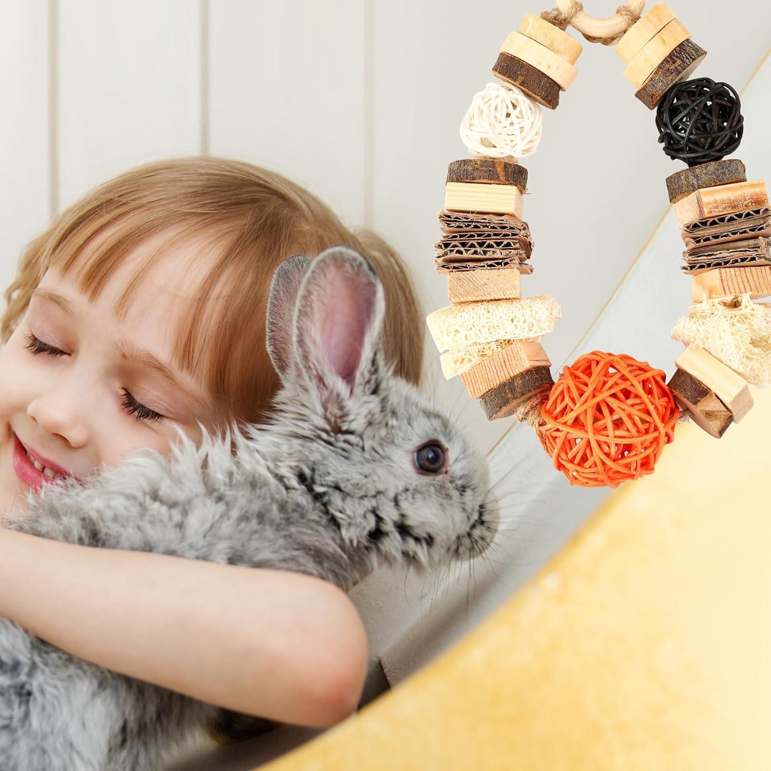 Juguetes Masticables para Roedores Abizoo - Madera Natural