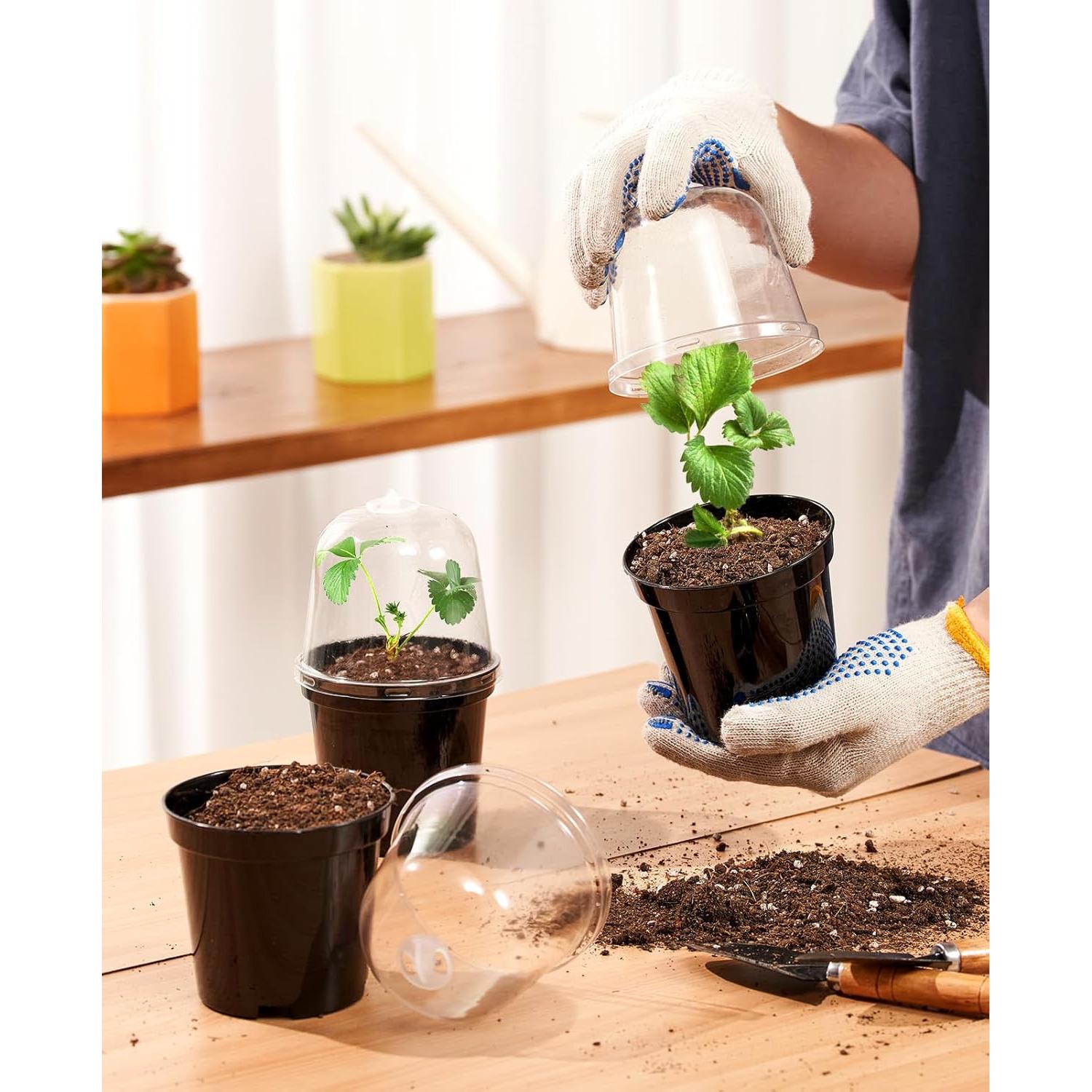 Macetas de Vivero Homenote 3" con Drenaje y Etiquetas - 30 Pzas