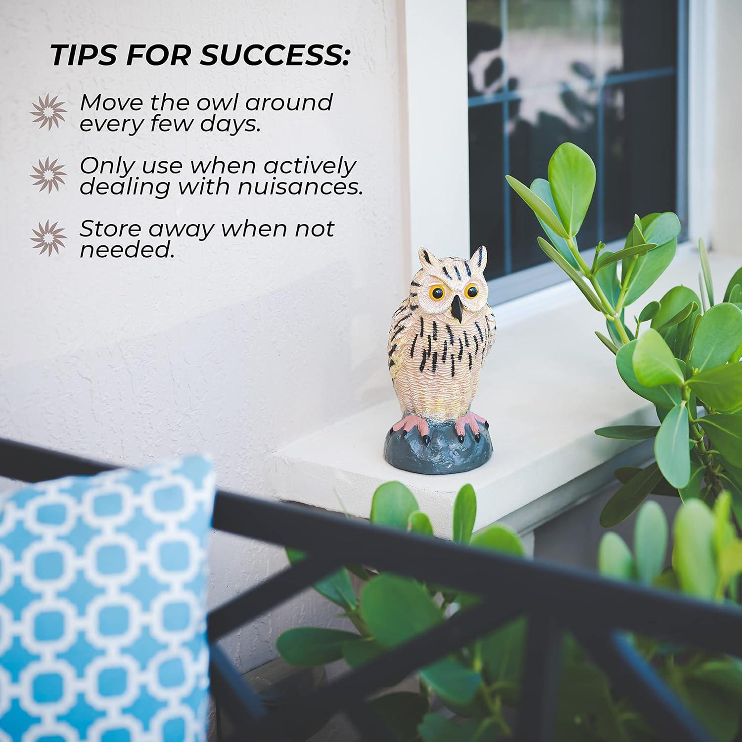 Estatua de Búho Galashield para Ahuyentar Aves 25.4 cm