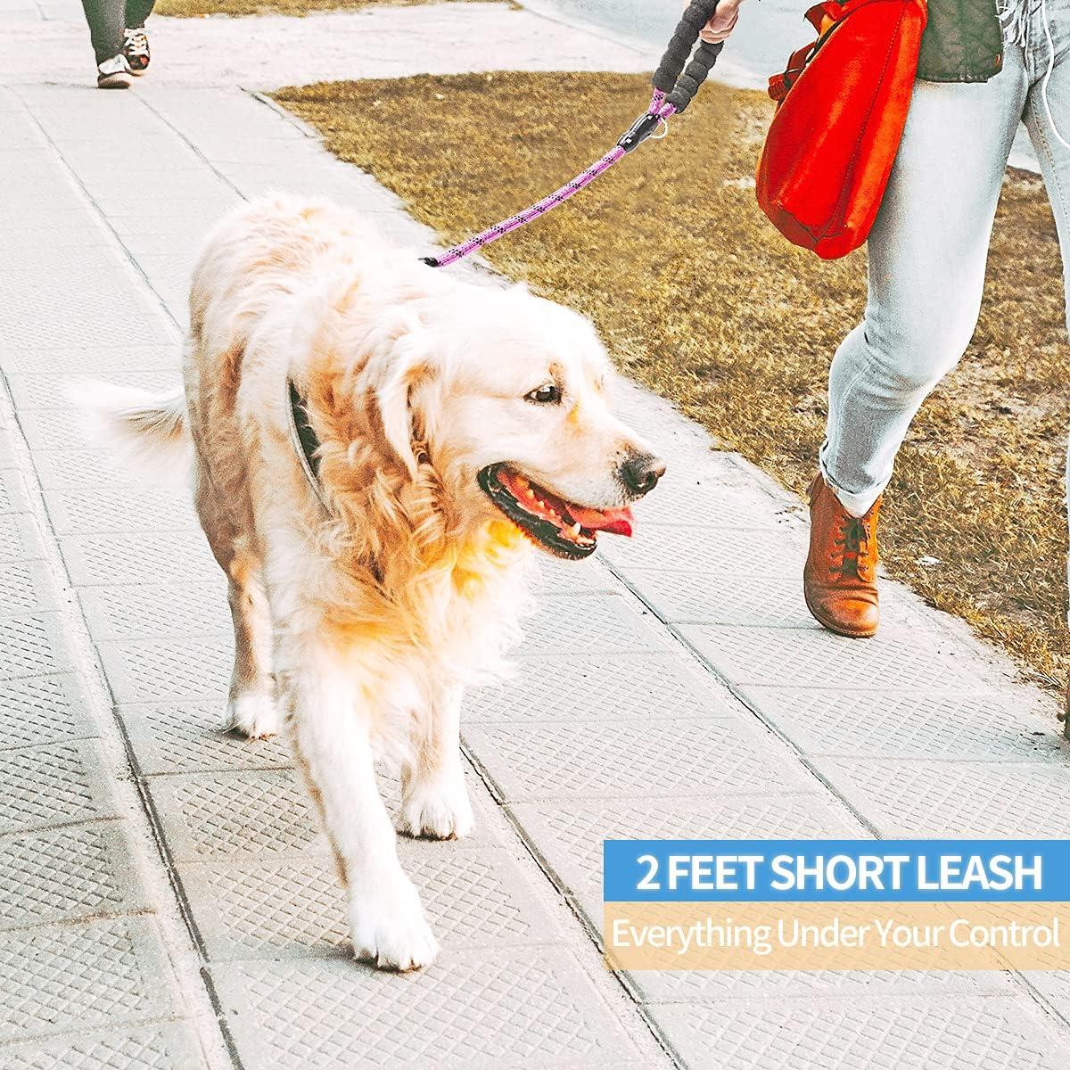 Correa para Perros BAAPET 61 cm Rosa con Mango Acolchado