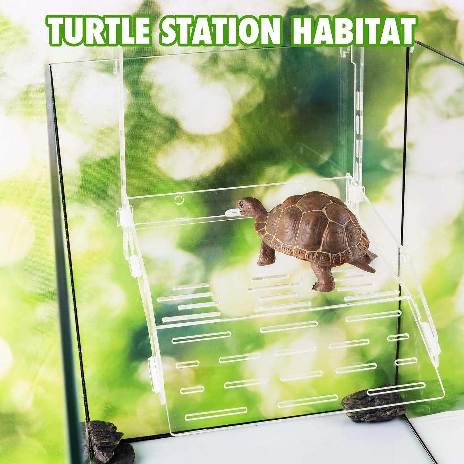 Plataforma de Sol para Tortugas Swirge Acrílico 21.8cm