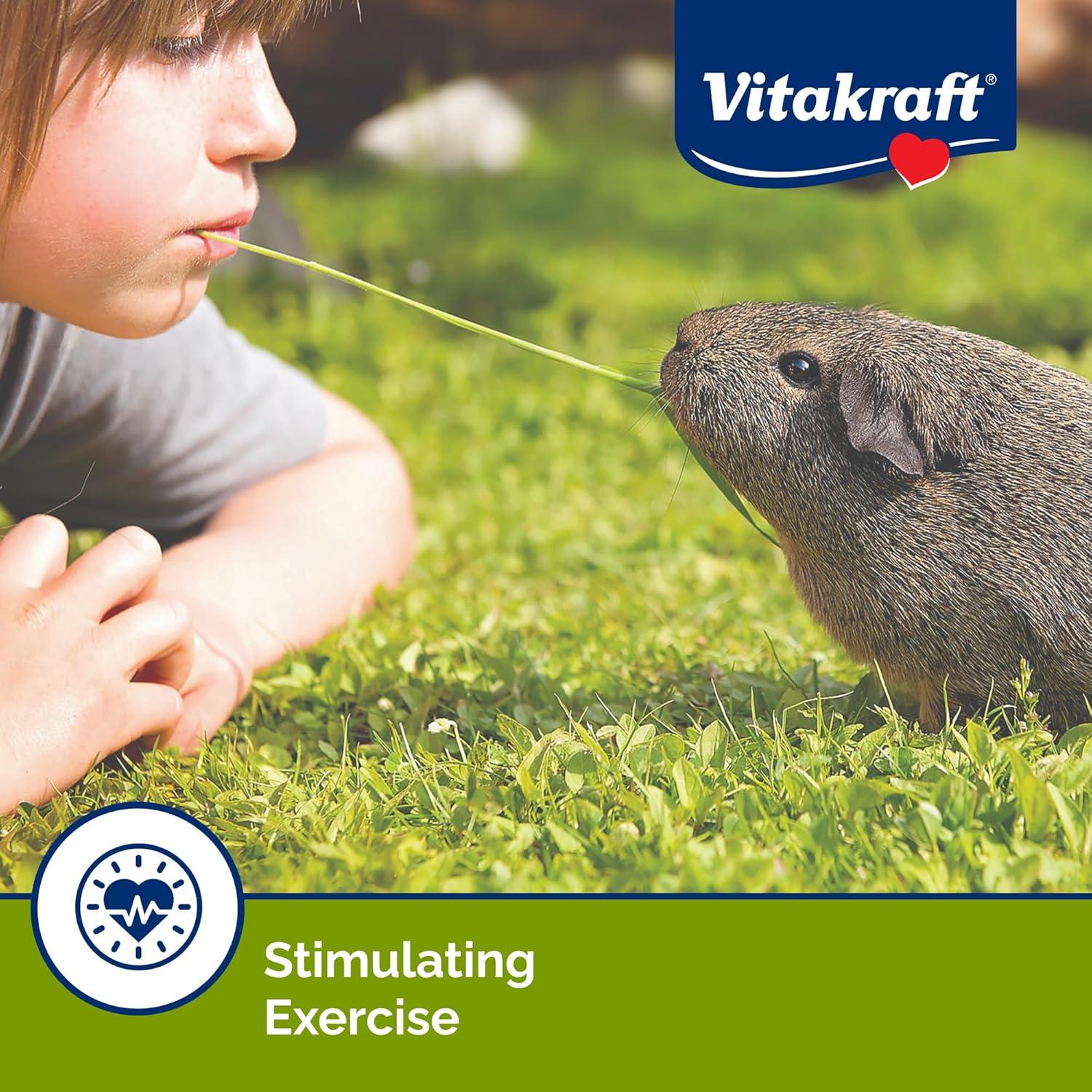 Vitakraft Crunch Sticks para Cobayas - Manzana y Naranja - 99g