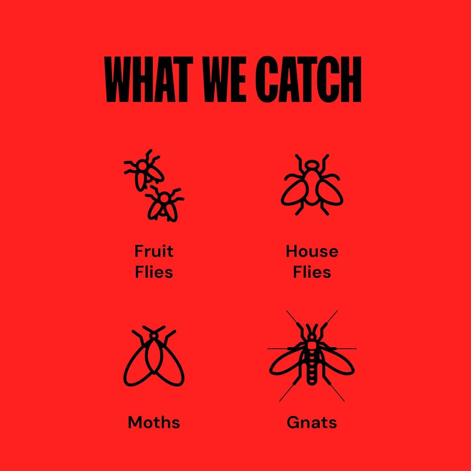 Trampa de Moscas Interior DynaTrap DT3007 - Negro, 1 Unidad