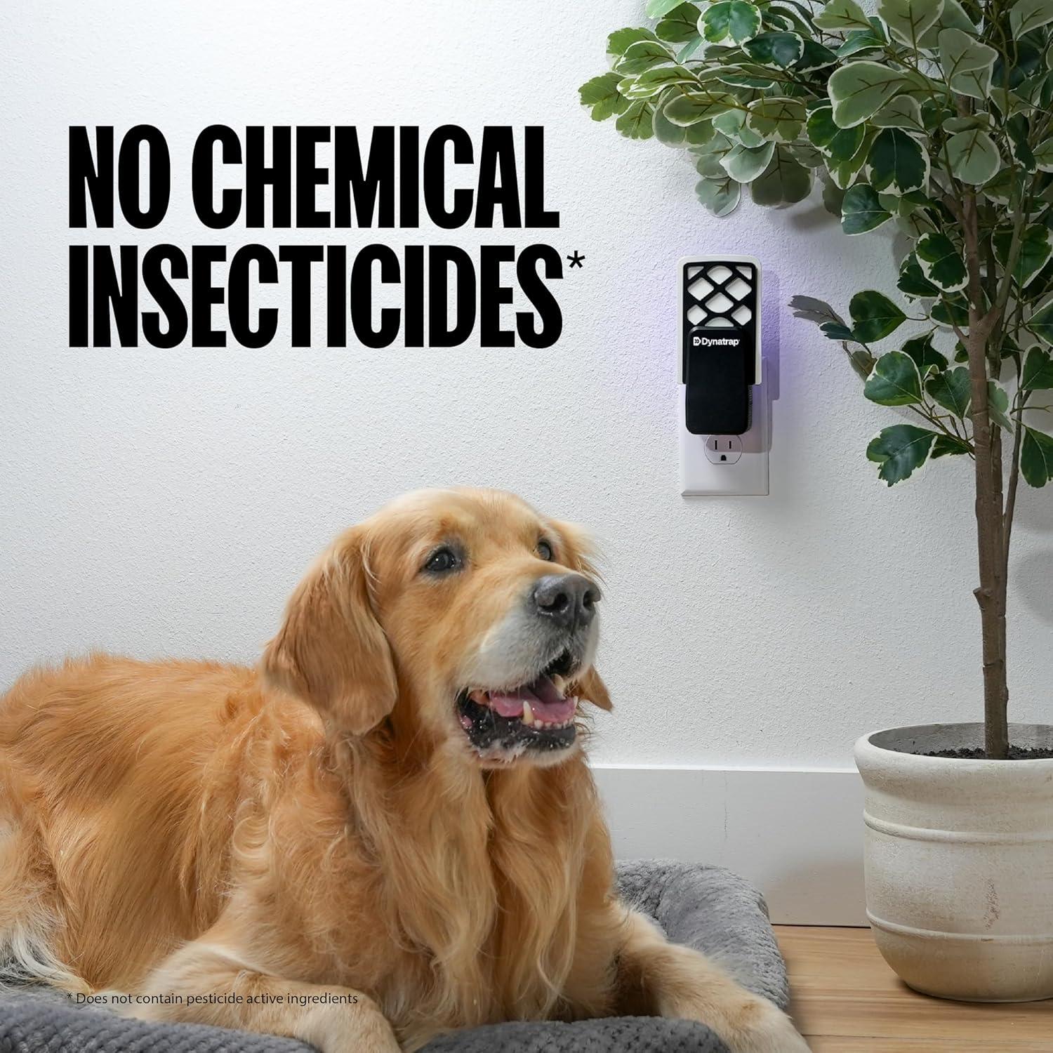 Trampa de Moscas Interior DynaTrap DT3007 - Negro, 1 Unidad