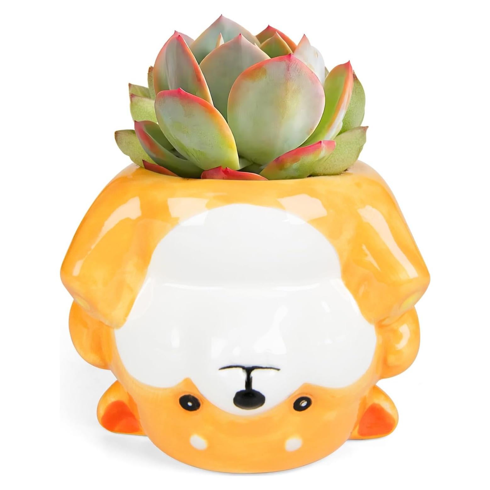 Maceta de Cerámica Corgi 11.18 cm con Drenaje para Suculentas