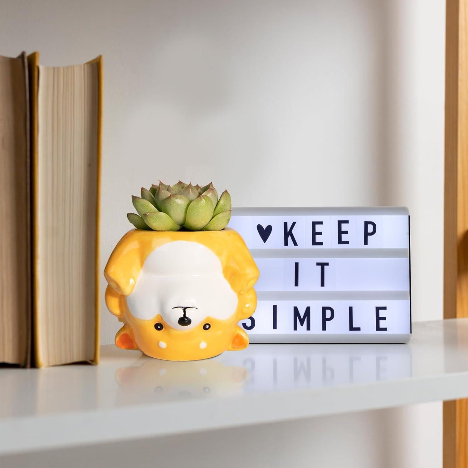 Maceta de Cerámica Corgi 11.18 cm con Drenaje para Suculentas