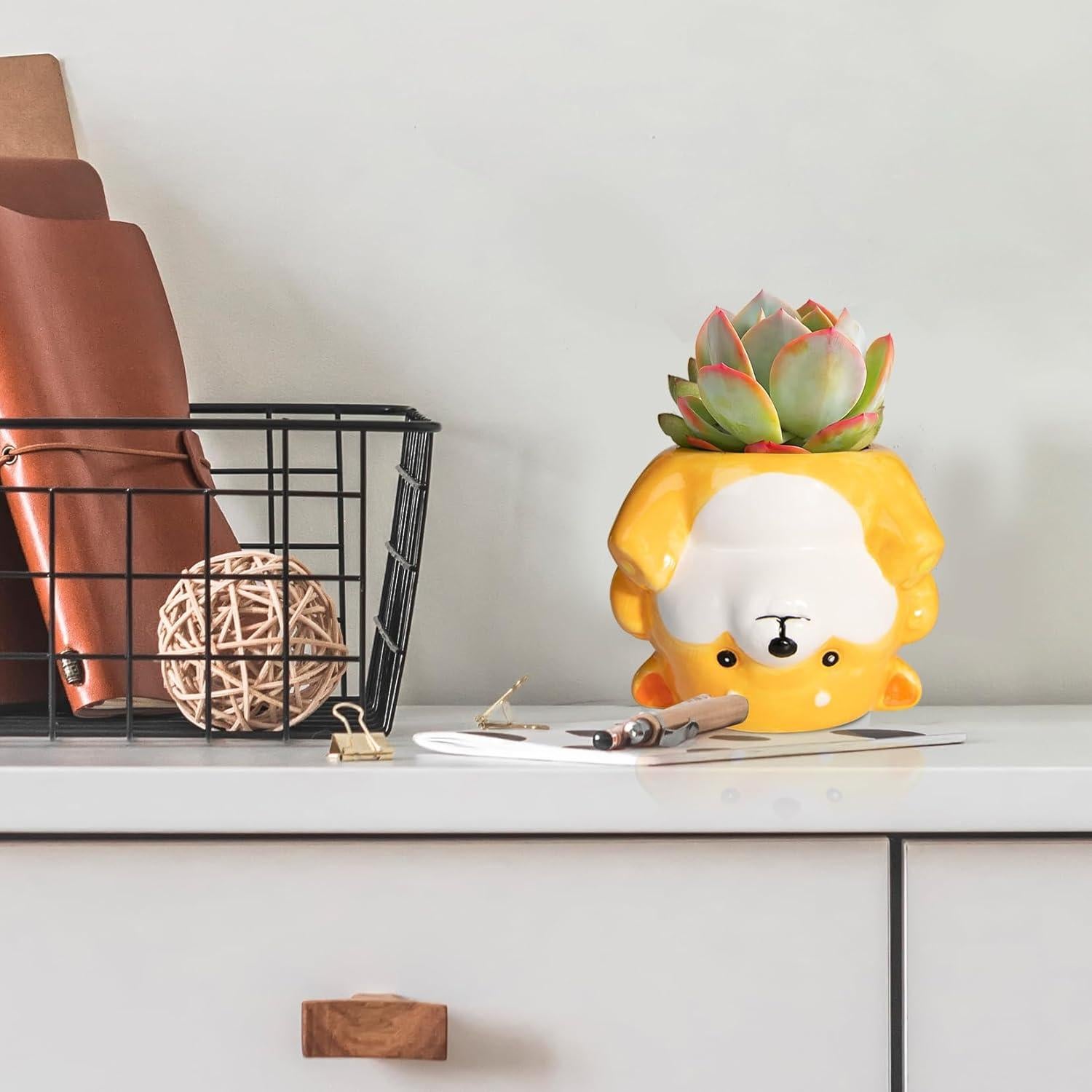 Maceta de Cerámica Corgi 11.18 cm con Drenaje para Suculentas