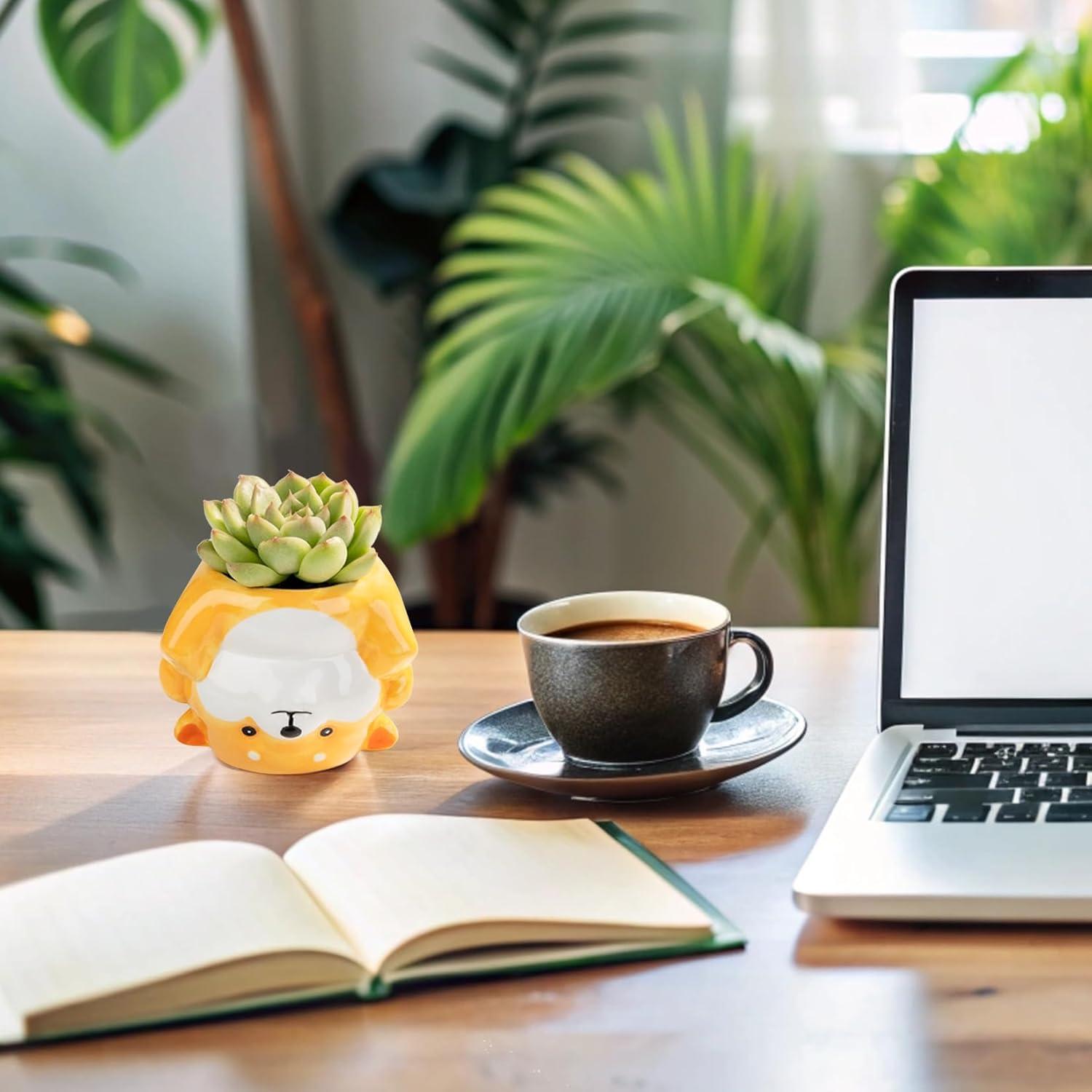 Maceta de Cerámica Corgi 11.18 cm con Drenaje para Suculentas