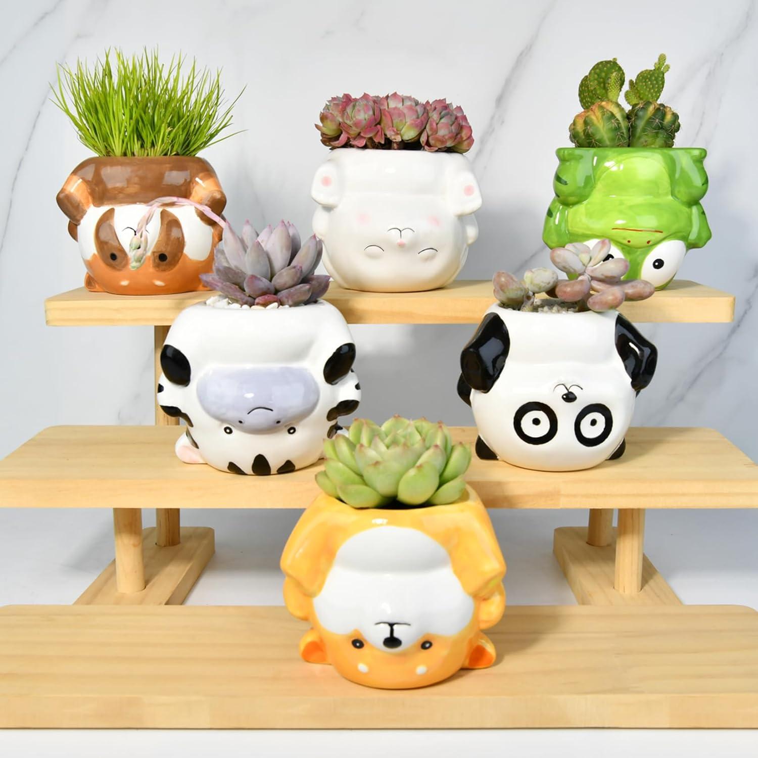 Maceta de Cerámica Corgi 11.18 cm con Drenaje para Suculentas