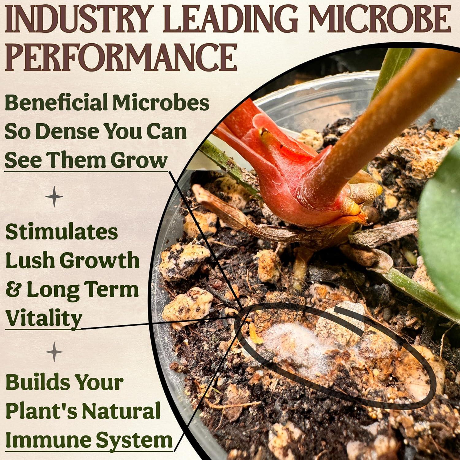 Fertilizante Orgánico para Plantas de Interior Grow Queen 0.45kg