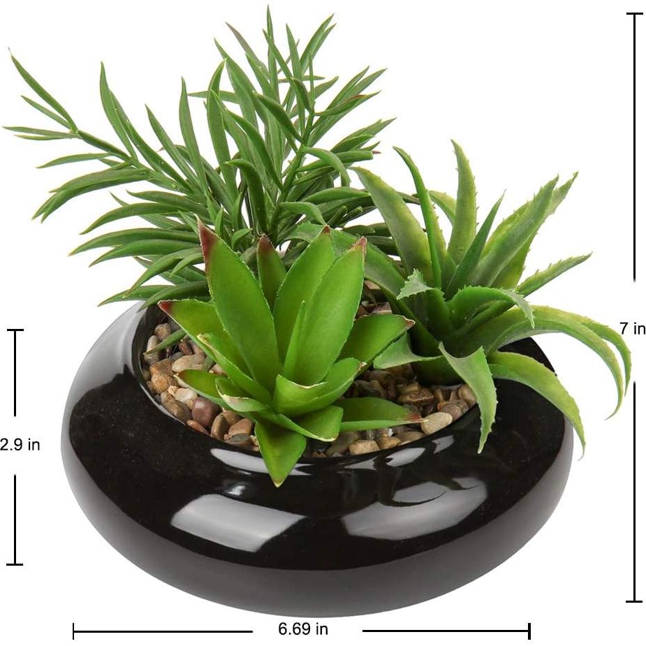 Planta Suculenta Artificial Hollyone en Maceta Cerámica Negra 17cm