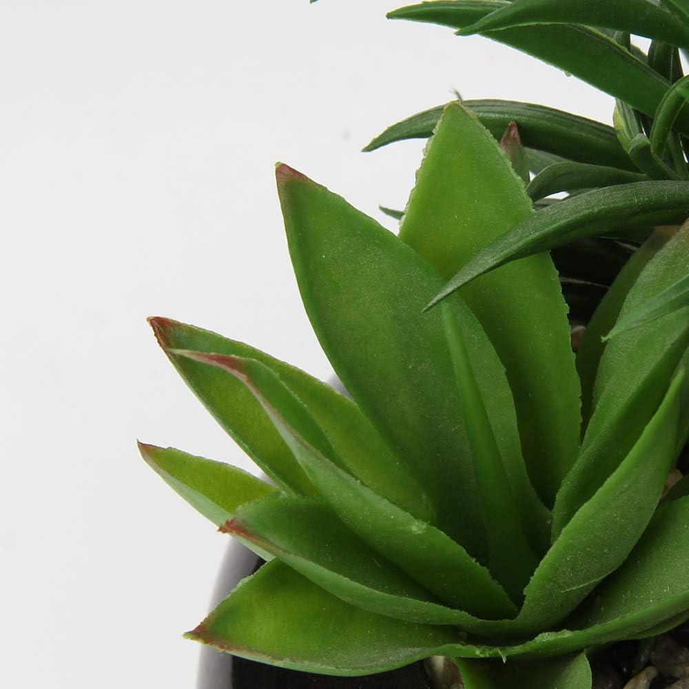 Planta Suculenta Artificial Hollyone en Maceta Cerámica Negra 17cm