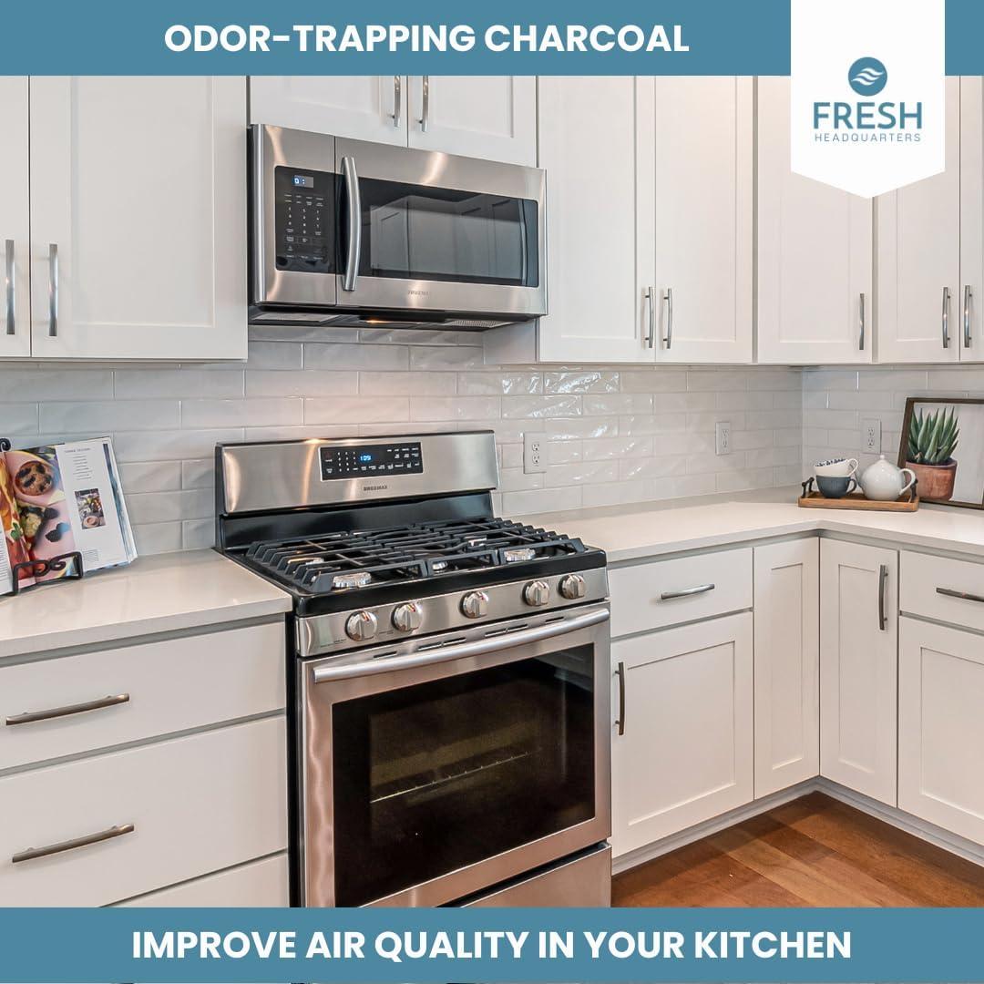 Filtro de Aire de Carbón Activado Fresh Headquarters - 2 Piezas - 45.72 cm x 38.1 cm