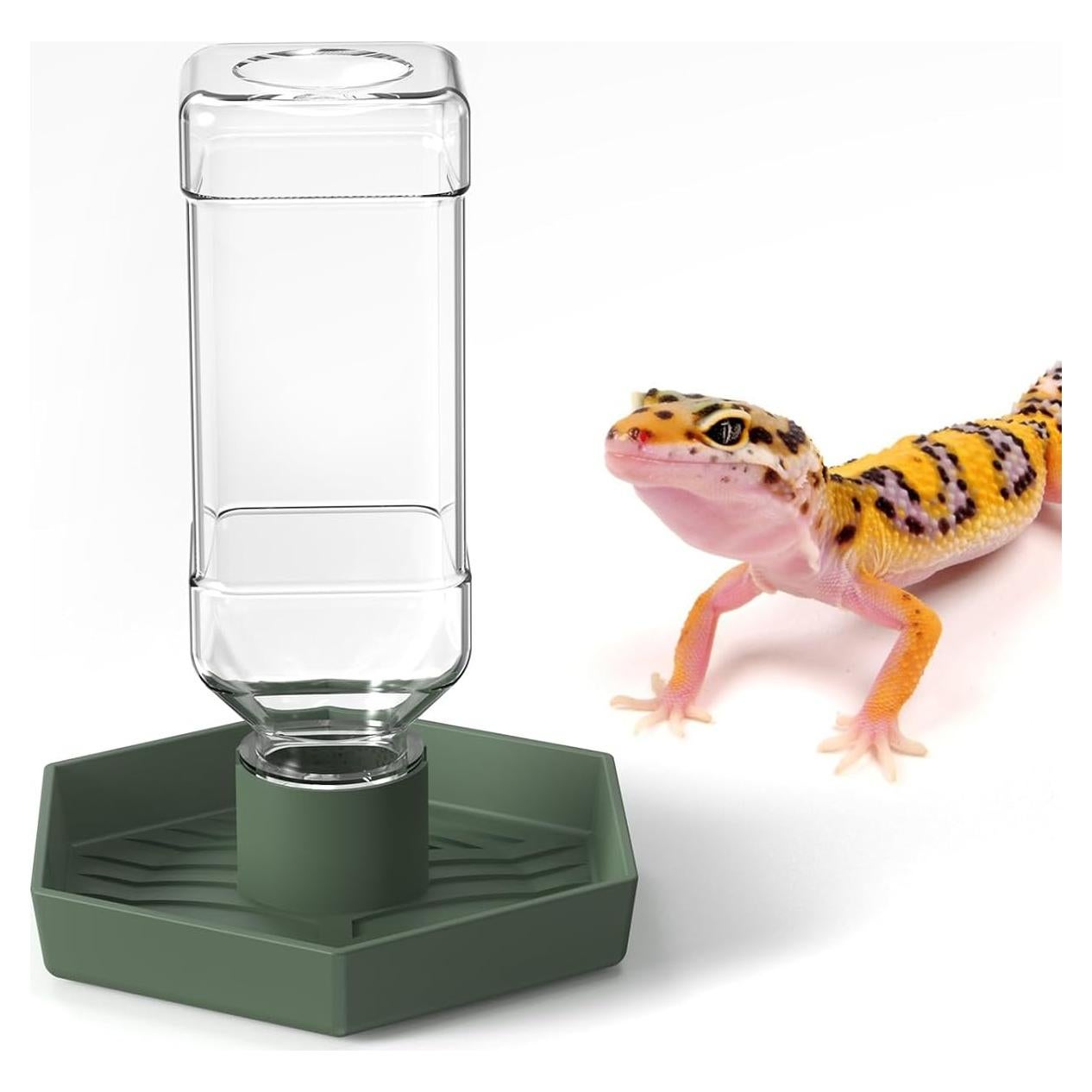 Dispensador de Agua Automático para Reptiles NOMOY 250ml